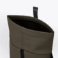 UA_Hajo-Olive_09